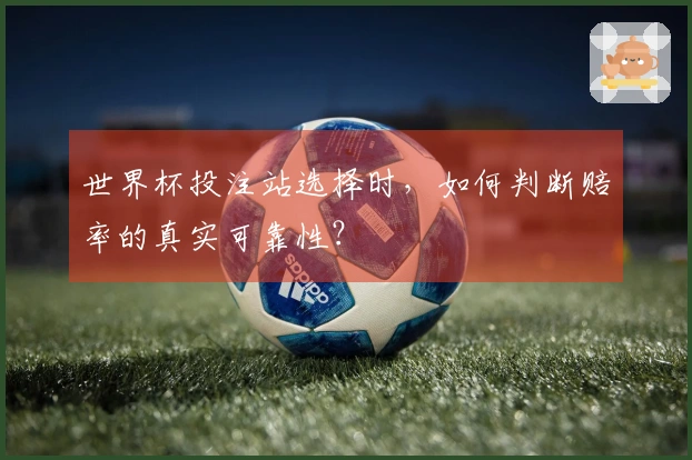 世界杯投注站选择时，如何判断赔率的真实可靠性？