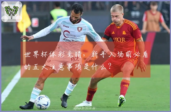 世界杯体彩竞猜，新手入场前必看的五大注意事项是什么？