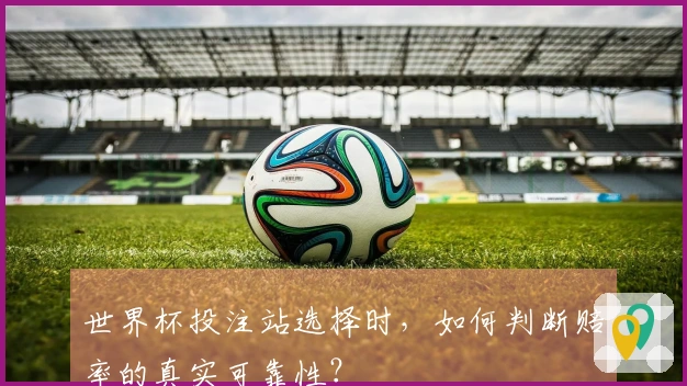 世界杯投注站选择时，如何判断赔率的真实可靠性？