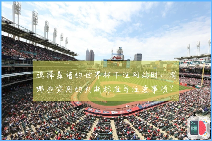选择靠谱的世界杯下注网站时，有哪些实用的判断标准与注意事项？