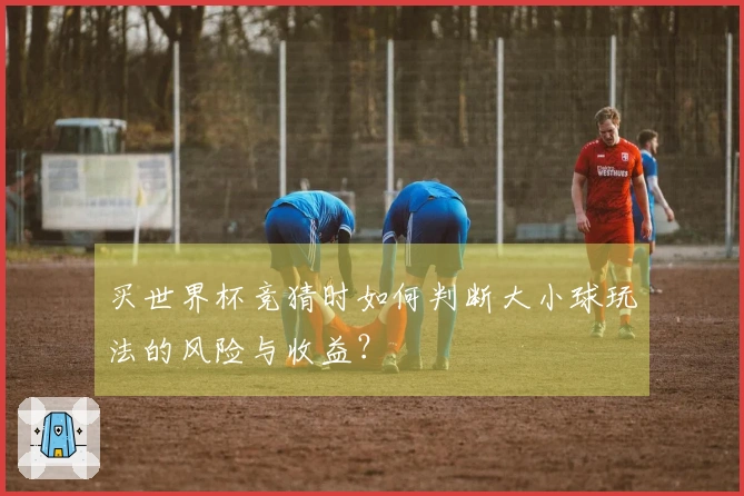 买世界杯竞猜时如何判断大小球玩法的风险与收益？