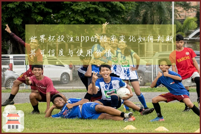 世界杯投注app的赔率变化如何判断其可信度与使用价值