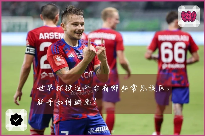 世界杯投注平台有哪些常见误区，新手如何避免？