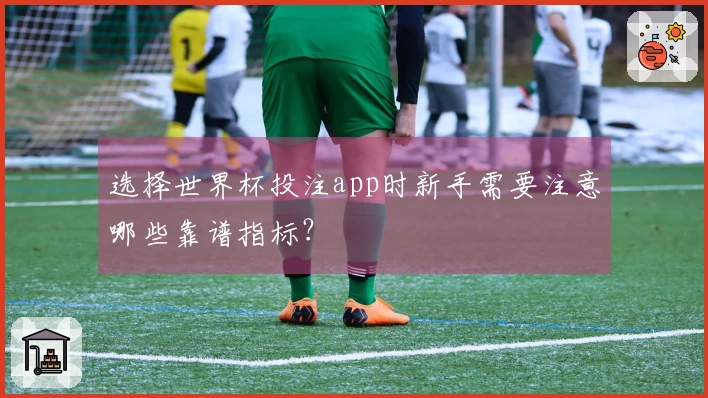 选择世界杯投注app时新手需要注意哪些靠谱指标？