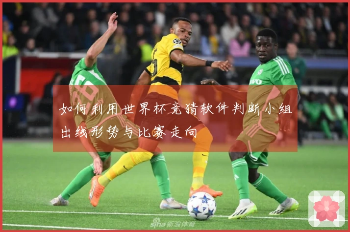 如何利用世界杯竞猜软件判断小组出线形势与比赛走向