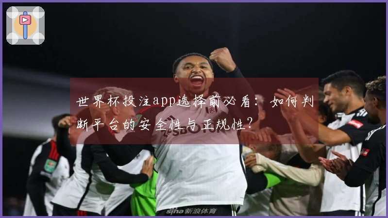 世界杯投注app选择前必看：如何判断平台的安全性与正规性？