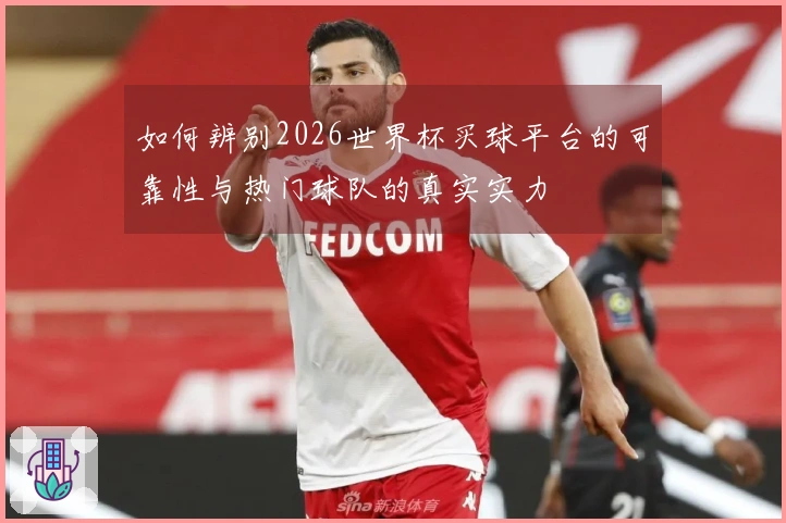 如何辨别2026世界杯买球平台的可靠性与热门球队的真实实力