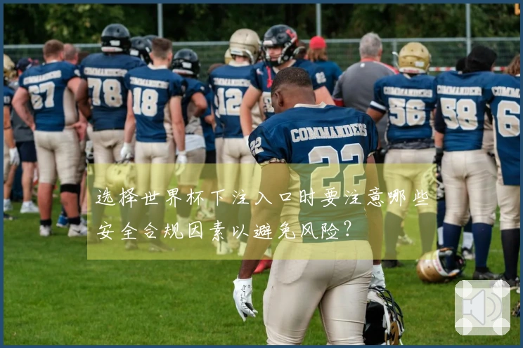 选择世界杯下注入口时要注意哪些安全合规因素以避免风险？