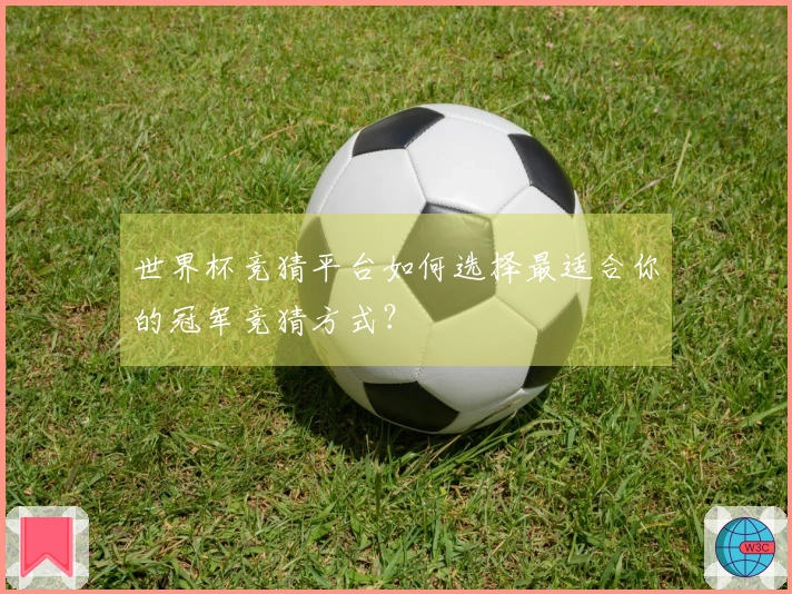 世界杯竞猜平台如何选择最适合你的冠军竞猜方式？