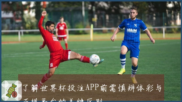 了解世界杯投注APP前需慎辨体彩与正规平台的关键区别