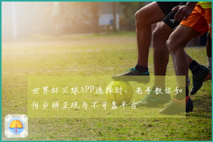 世界杯买球APP选择时，老手教你如何分辨正规与不可靠平台