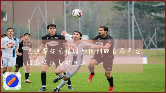 买世界杯竞猜时如何判断自荐平台的真实性与安全性