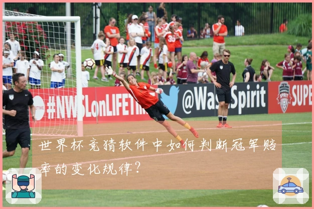 世界杯竞猜软件中如何判断冠军赔率的变化规律？