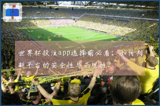 世界杯投注app选择前必看:如何判断平台的安全性与正规性?