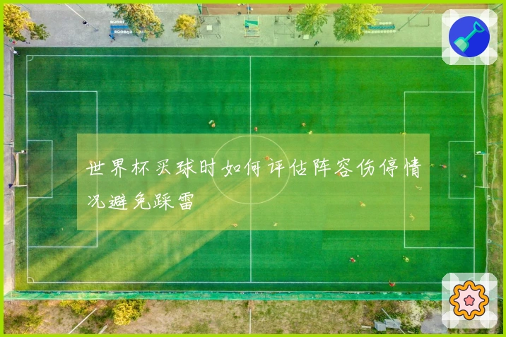 世界杯买球时如何评估阵容伤停情况避免踩雷